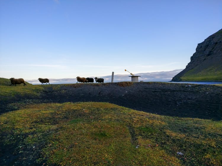 Freitag, 8. 9. - Fjordfahrt, Seehunde, Hörgshlid Hot Pot, Holmavik