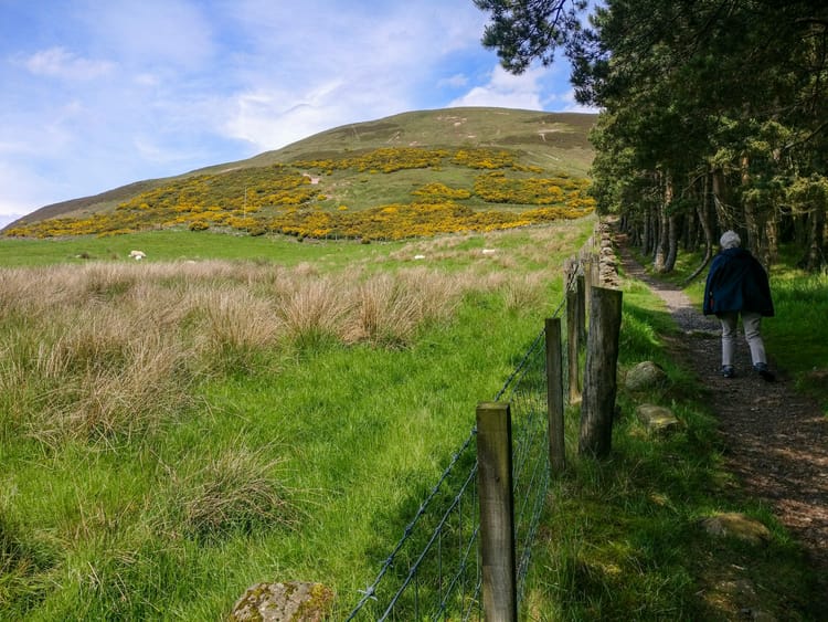 Freitag, 7. 6. - Abreise Bärbel, Tentsmuir Point, Tayport, Glencorse View