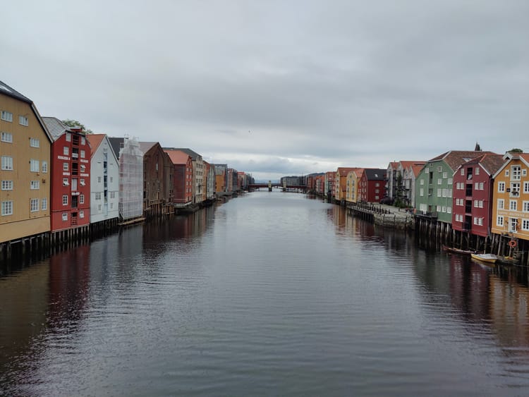 23. 8. - Nach Røros schwimmen mit Tiersichtungen