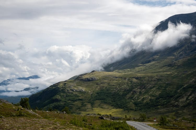 12. 8. - ... nein, Mücken hatten wir eigentlich noch nie