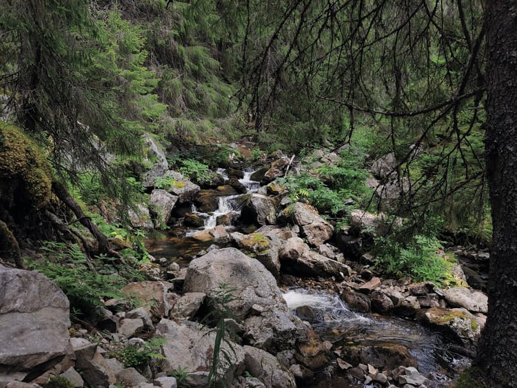 Dienstag, 10. 8. 22 - Hinter dem Wasserfall oder: Lerne deine Umgebung kennen