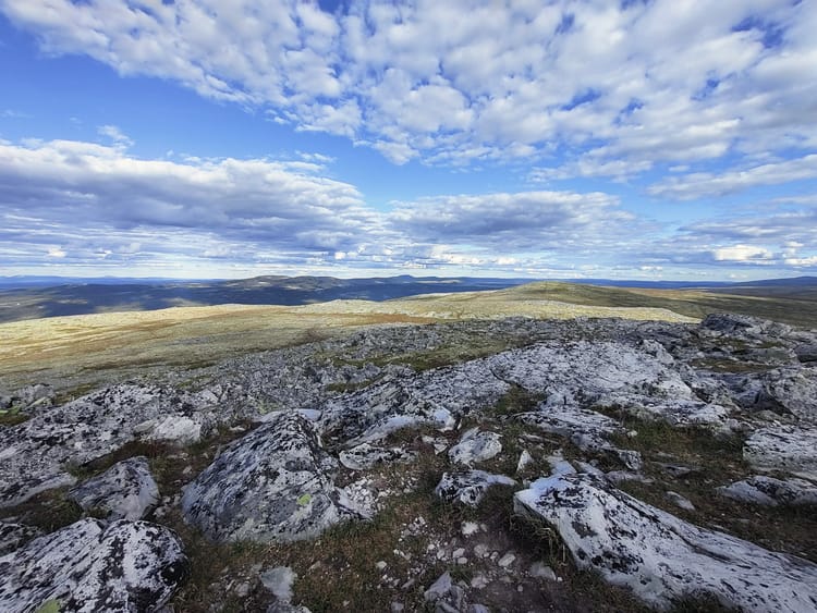 Montag, 9. 8. - Welcome back to Engerdal