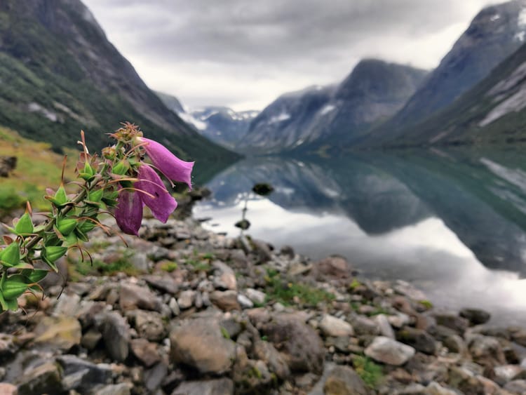 Samstag, 13. 8. - vom Volksfest zum Sognefjord