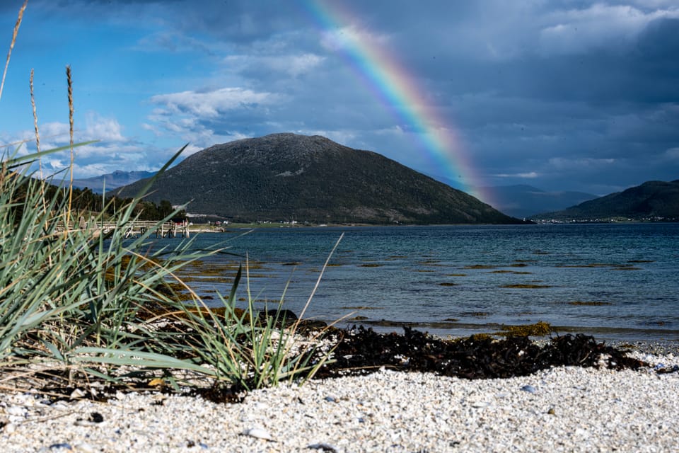 Dienstag, 3. 9. - Auf die Vesterålen und Nordnorwegen-Rundfahrt