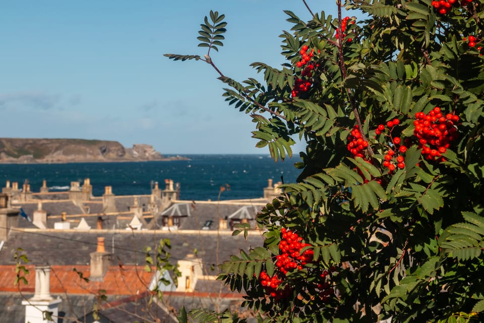 Dienstag, 11. 9. 18 - Cullen, Golspie, Dunrobin Castle, Littleferry