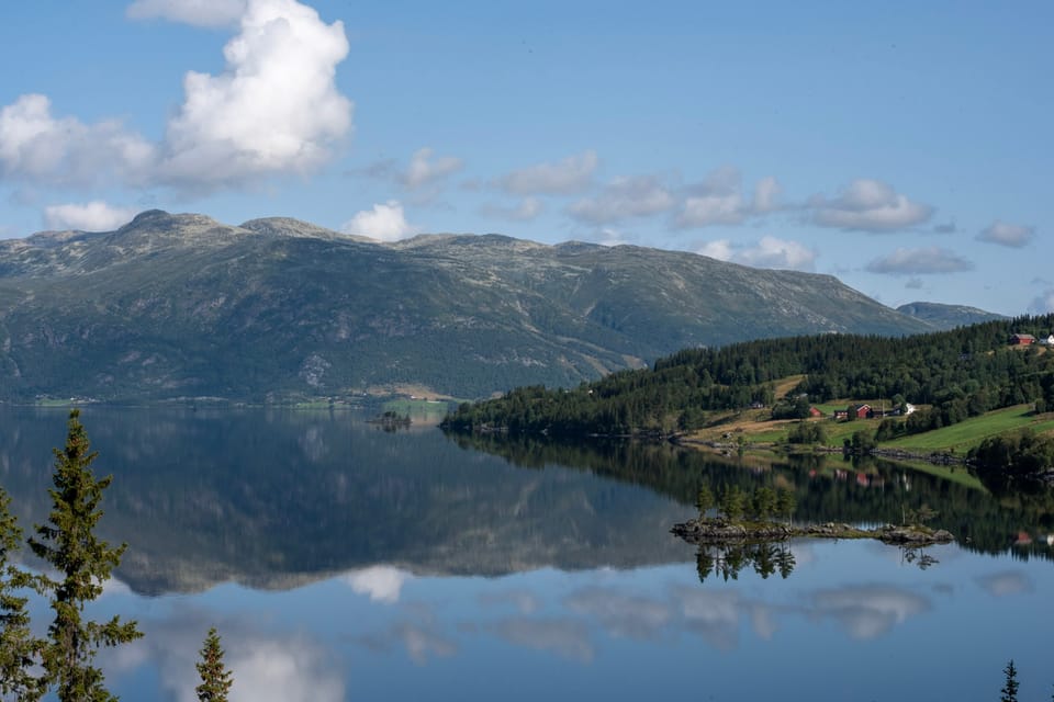 11. 8. Schafe und Serpentinen im Tunnel