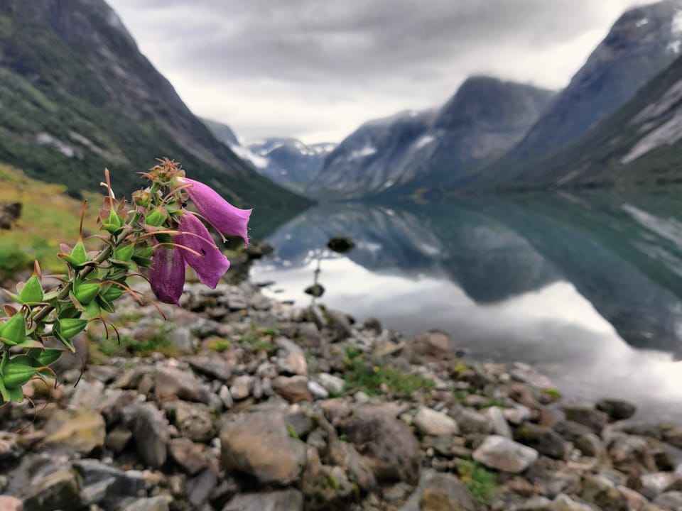 Samstag, 13. 8. - vom Volksfest zum Sognefjord